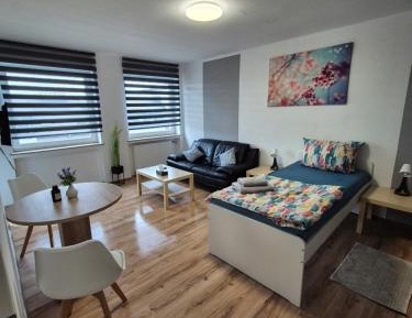 Classic Apartment