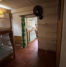 Single Bed in 6-Bed Dormitory Room