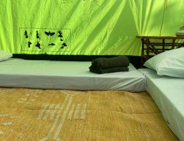 Triple Tent