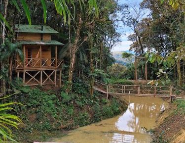Double Room with Lake View
