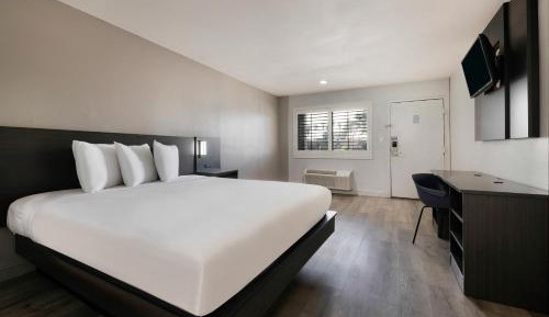 King Room with Roll-In Shower - Disability Access
