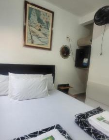 Standard Suite