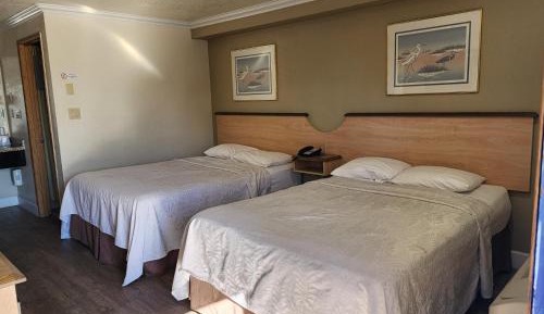 Economy Double Room