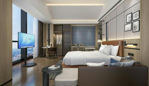 Cozy King Room with City View