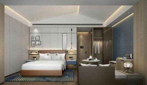Superior King Room with City View