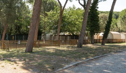Empty Lot