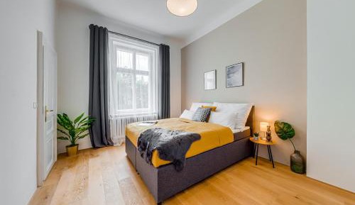 One-Bedroom Apartment with Park View
