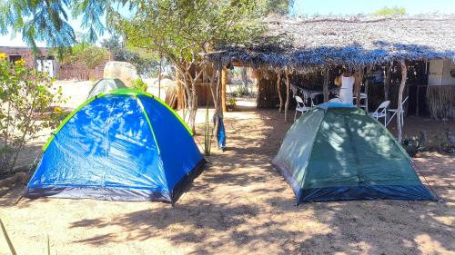 Tent