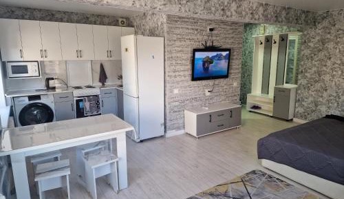 One-Bedroom Apartment with Lake View