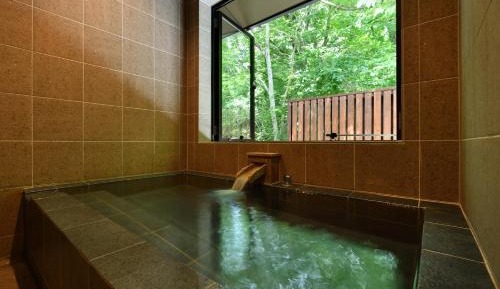 Deluxe One-Bedroom Apartment