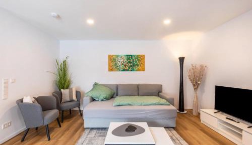 Superior One-Bedroom Apartment