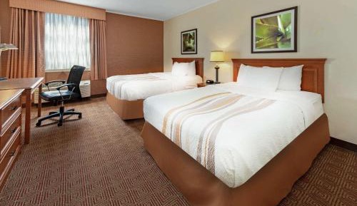 Deluxe Double Room with Two Double Beds - Non-Smoking