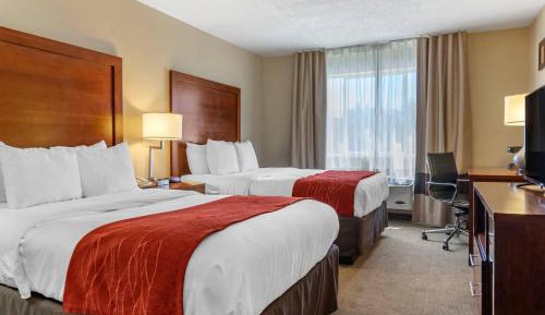 Double Room with Two Double Beds - Non-Smoking