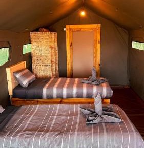 Tent
