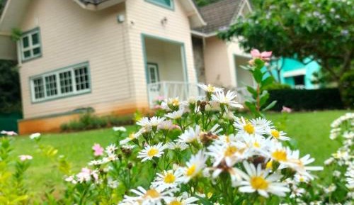 Family Cottage (8 Adults)