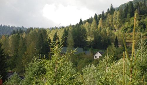 One-Bedroom Chalet