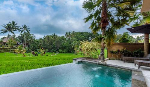 One Bedroom Private Pool Villa with Rice Field View