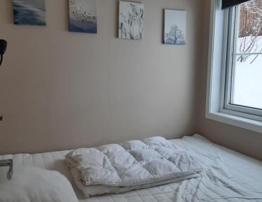 Two-Bedroom Standard Apartment