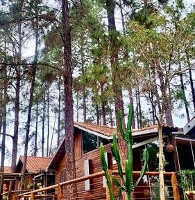 Two-Bedroom Chalet