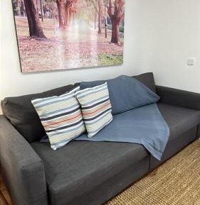 Studio with Garden View