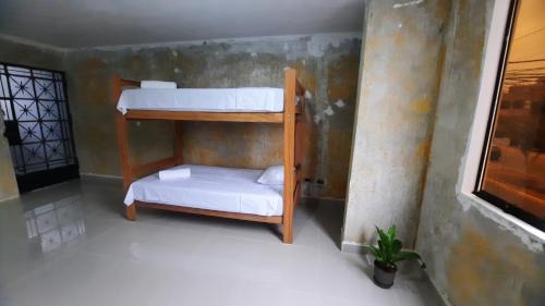 Bunk Bed in Mixed Dormitory Room