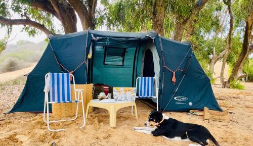 Tent