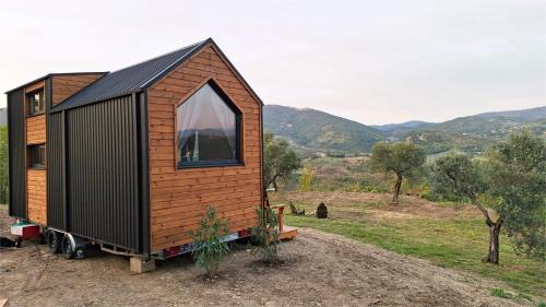 Mobile Home