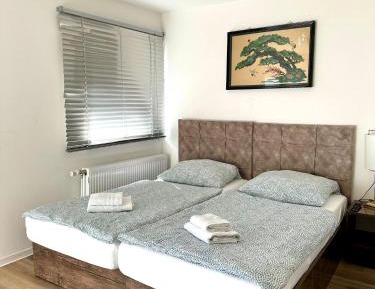 Double or Twin Room