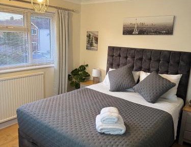 Double or Twin Room