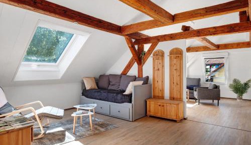 Superior One-Bedroom Apartment