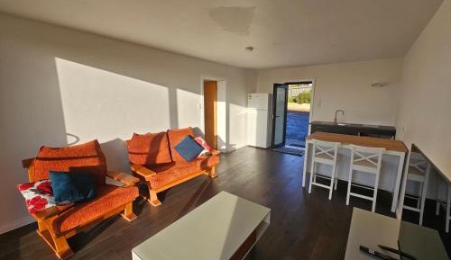 Deluxe One-Bedroom Apartment