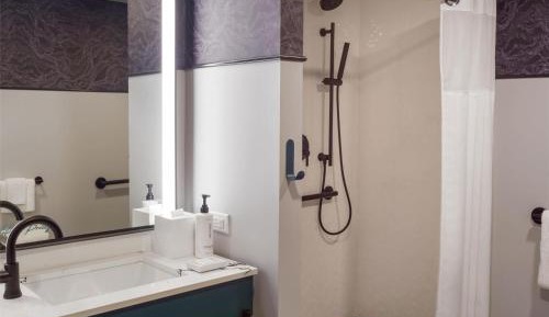 King Room with Roll-In Shower - Disability Access