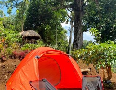 Double Room with Mountain View