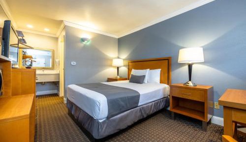Standard  Room