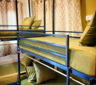Bunk Bed in Mixed Dormitory Room