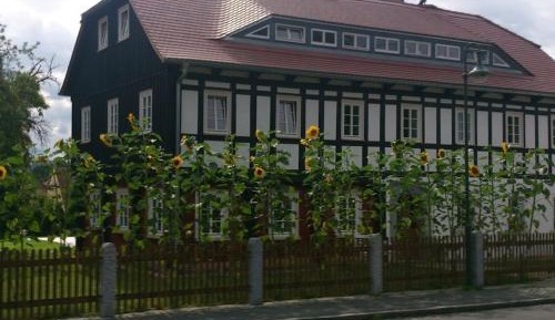 One-Bedroom Holiday Home