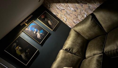 Apartment - Split Level