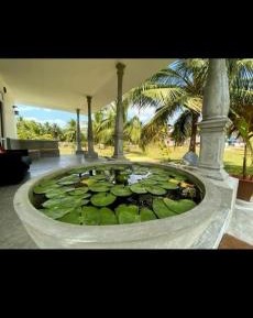 Family Bungalow