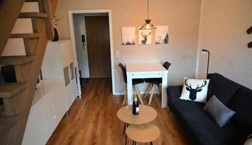 Duplex Apartment