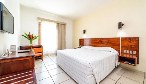 Double Room with Terrace