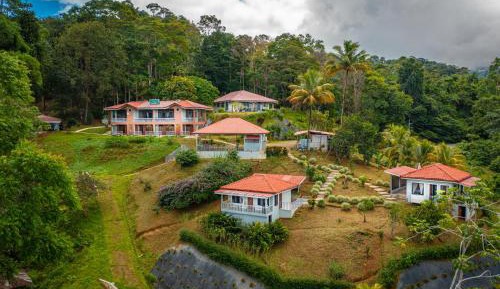 One-Bedroom Premium Apartment with Ocean View