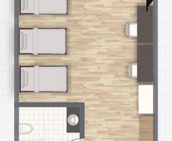 Basic Triple Room