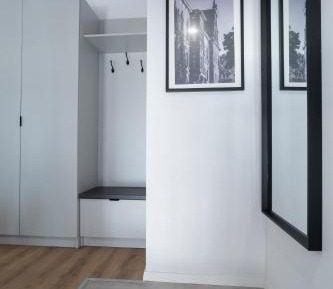 Deluxe One-Bedroom Apartment