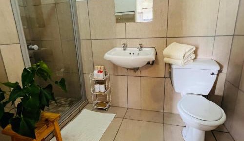 Basic Twin Room