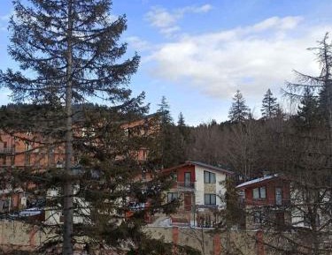 Standard Double or Twin Room with Garden View