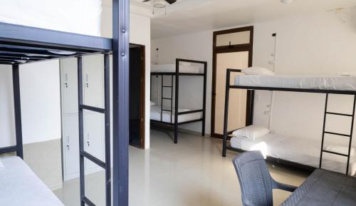 Bed in 6-Bed Mixed Dormitory Room