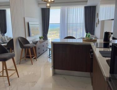 Deluxe One-Bedroom Apartment