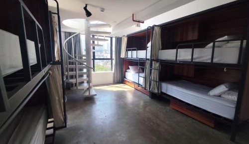 Bunk Bed in Mixed Dormitory Room