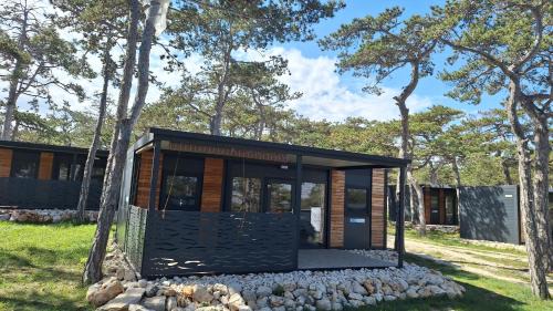 Mobile Home