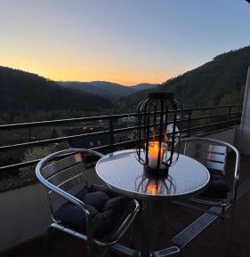 One-Bedroom Apartment with Balcony and Mountain View  